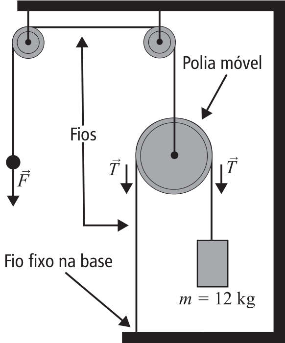 Esquema de um equipamento de exercícios composto por uma estrutura rígida, duas polias fixas no teto e uma polia móvel abaixo. Um fio passa pelas duas polias fixas: na extremidade esquerda puxa-se verticalmente para baixo com uma força F com vetor, e a extremidade direita conecta-se ao eixo central da polia móvel. Um segundo fio passa pela polia móvel, tendo a extremidade esquerda fixada na base inferior e a extremidade direita sustentando um bloco de massa m = 12 kg; vetores de tração T apontam para baixo em ambos os ramos desse fio.