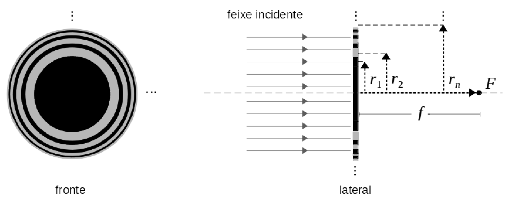 Esquema da rede de difração por anéis concêntricos: à esquerda, vista frontal mostrando zonas circulares alternadas entre pretas (absorvedoras) e cinzas (transparentes); à direita, vista em corte lateral mostrando a incidência de feixes paralelos, a indicação dos raios $r_1$, $r_2$, $\dots$, $r_n$ e a distância focal $f$ até o foco $F$.