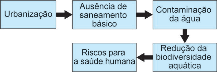 Fluxograma com caixas em sequência: Urbanização aponta para Ausência de saneamento básico, que aponta para Contaminação da água, que aponta para baixo para Redução da biodiversidade aquática, que aponta para a esquerda para Riscos para a saúde humana.