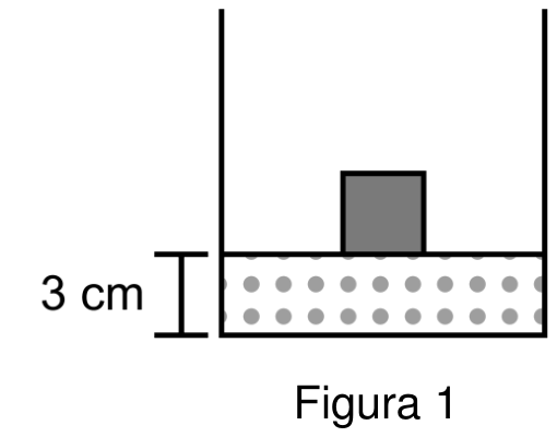 Figura 1