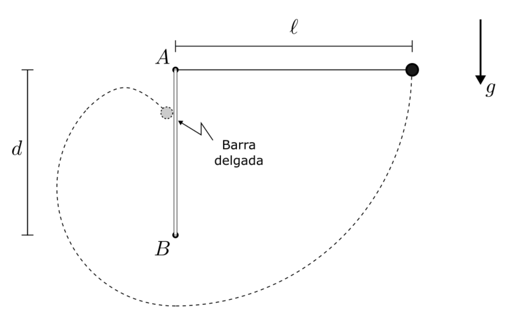 Diagrama de um pêndulo preso no ponto A por um fio de comprimento ℓ, inicialmente na horizontal à direita. Abaixo de A, a uma distância vertical d, encontra-se o ponto B, com uma barra delgada fixa entre A e B. A linha tracejada ilustra a trajetória da esfera caindo sob gravidade g, passando abaixo de B e subindo pelo lado esquerdo em direção à barra.