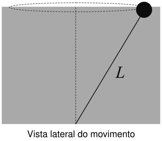 F1 Vista lateral do movimento