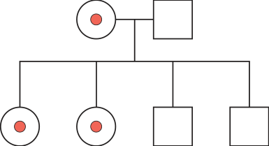 F3 Heredograma com casal parental (mulher heterozigota portadora e homem não daltônico) e quatro descendentes: duas mulheres heterozigotas portadoras e dois homens não daltônicos.