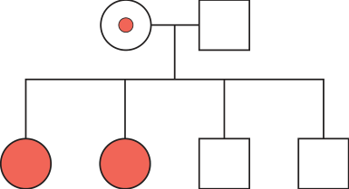 F5 Heredograma com casal parental (mulher heterozigota portadora e homem não daltônico) e quatro descendentes: duas mulheres daltônicas e dois homens não daltônicos.