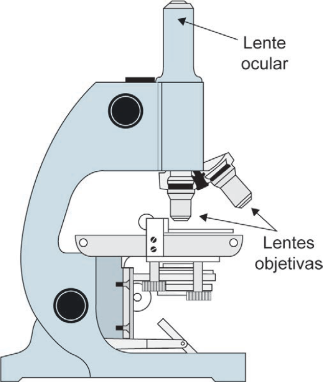F1 Esquema de um microscópio óptico indicando a localização da lente ocular no topo e das lentes objetivas no revólver acima da platina.