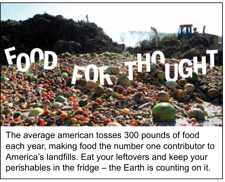 Cartaz de campanha contendo, na parte superior, uma fotografia de restos de comida e vegetais acumulados em um lixão, com maquinário ao fundo e o texto "FOOD FOR THOUGHT" sobreposto. Na parte inferior, sobre fundo branco, lê-se: "The average american tosses 300 pounds of food each year, making food the number one contributor to America's landfills. Eat your leftovers and keep your perishables in the fridge – the Earth is counting on it."
