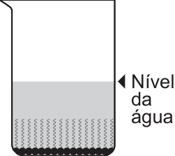 F2 Béquer com tensoativos no fundo, com as cabeças pretas no fundo do recipiente e caudas voltadas para cima