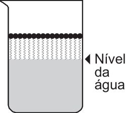 F3 Béquer com tensoativos acima da água, com as caudas voltadas para a superfície e cabeças pretas para o ar