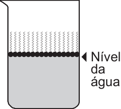 F5 Béquer com tensoativos na superfície da água, com as cabeças pretas em contato com a água e as caudas onduladas voltadas para o ar