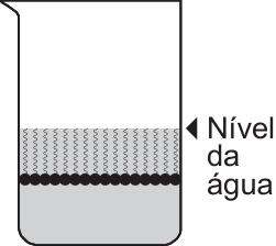 F6 Béquer com tensoativos submersos na água, com cabeças pretas no meio do líquido e caudas voltadas para cima até o nível da água