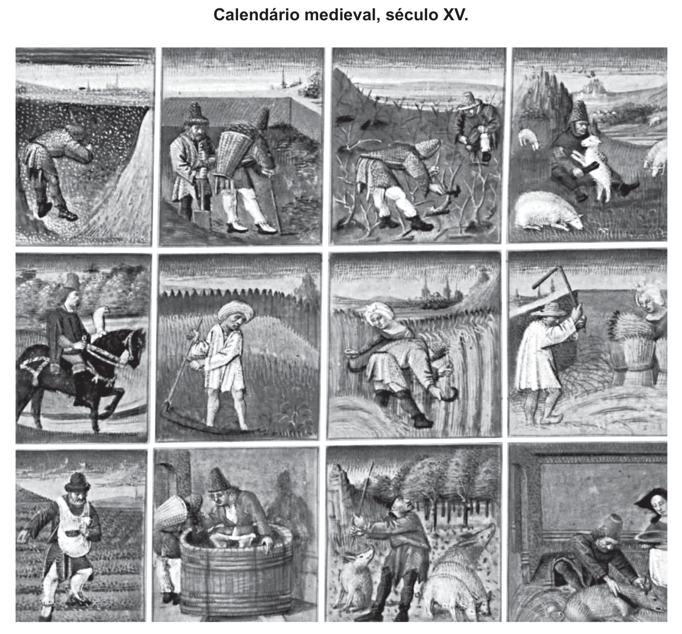 Calendário medieval do século XV composto por doze ilustrações organizadas em três linhas e quatro colunas, retratando atividades camponesas e rurais associadas aos meses do ano, como semeadura, poda, colheita, vindima, tosquia e abate de animais.