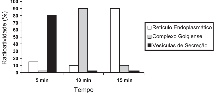 Gráfico de barras de radioatividade (%) por tempo (5, 10 e 15 min). Legenda: retículo endoplasmático (branco), complexo golgiense (cinza) e vesículas de secreção (preto). Aos 5 min, as barras indicam aproximadamente 15%, 2% e 80%, respectivamente; aos 10 min, 10%, 90% e 2%; aos 15 min, 90%, 10% e 2%.