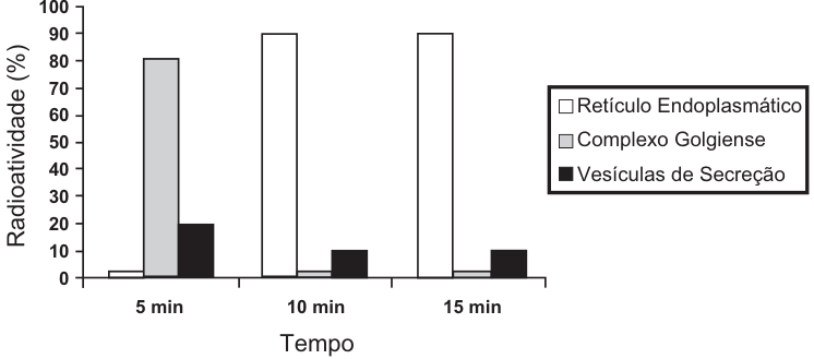 Gráfico de barras de radioatividade (%) por tempo (5, 10 e 15 min). Legenda: retículo endoplasmático (branco), complexo golgiense (cinza) e vesículas de secreção (preto). Aos 5 min, as barras indicam aproximadamente 2%, 80% e 20%, respectivamente; aos 10 min, 90%, 2% e 10%; aos 15 min, 90%, 2% e 10%.