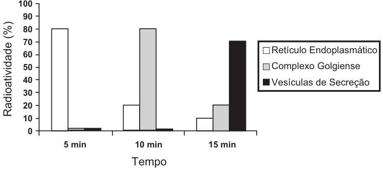 Gráfico de barras de radioatividade (%) por tempo (5, 10 e 15 min). Legenda: retículo endoplasmático (branco), complexo golgiense (cinza) e vesículas de secreção (preto). Aos 5 min, as barras indicam aproximadamente 80%, 1% e 2%, respectivamente; aos 10 min, 20%, 80% e 1%; aos 15 min, 10%, 20% e 70%.