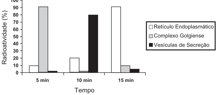 Gráfico de barras de radioatividade (%) por tempo (5, 10 e 15 min). Legenda: retículo endoplasmático (branco), complexo golgiense (cinza) e vesículas de secreção (preto). Aos 5 min, as barras indicam aproximadamente 10%, 90% e 2%, respectivamente; aos 10 min, 20%, 1% e 80%; aos 15 min, 90%, 10% e 5%.