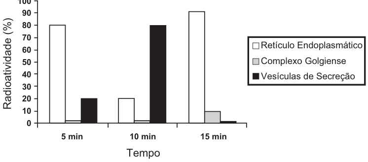 Gráfico de barras de radioatividade (%) por tempo (5, 10 e 15 min). Legenda: retículo endoplasmático (branco), complexo golgiense (cinza) e vesículas de secreção (preto). Aos 5 min, as barras indicam aproximadamente 80%, 2% e 20%, respectivamente; aos 10 min, 20%, 2% e 80%; aos 15 min, 90%, 10% e 1%.