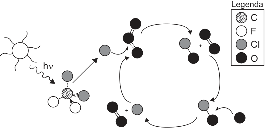 Esquema da ação da radiação solar, indicada por hν, sobre uma molécula de CFC, liberando um átomo de cloro. Setas mostram a participação do cloro em um ciclo de reações com ozônio e oxigênio. A legenda identifica carbono (C) como círculo hachurado, flúor (F) como círculo branco, cloro (Cl) como círculo cinza e oxigênio (O) como círculo preto.