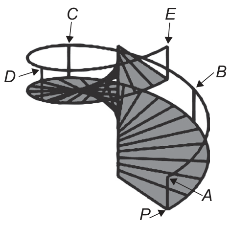 F1 Ilustração em perspectiva de uma escada caracol com corrimão circular. Os pontos A, B, C, D e E estão marcados ao longo do corrimão, com setas apontando para cada um. O ponto P está na base do primeiro degrau, verticalmente alinhado aos pontos A e E.