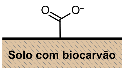 Estrutura do solo com biocarvão contendo o grupo carboxilato