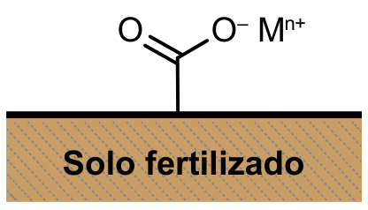 Estrutura do solo fertilizado com o cátion metálico interagindo com o grupo carboxilato