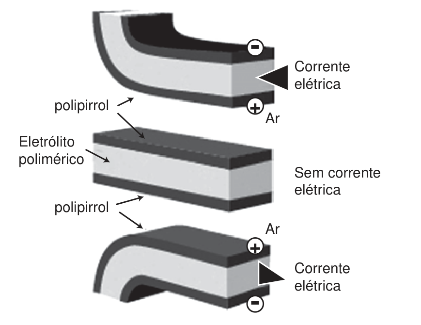 Esquema de um dispositivo em camadas, composto por uma camada central de eletrólito polimérico entre duas camadas de polipirrol. No centro, em repouso ("Sem corrente elétrica"), a estrutura é reta. Acima e abaixo, sob aplicação de corrente elétrica com inversão de polaridade entre os polos positivo e negativo, a estrutura curva-se para cima ou para baixo.