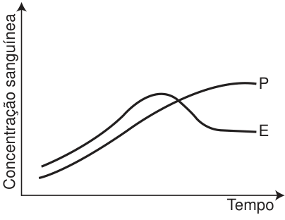 Gráfico de concentração sanguínea em função do tempo: E aumenta, atinge um pico e diminui até se estabilizar; P aumenta gradualmente e se estabiliza acima de E.