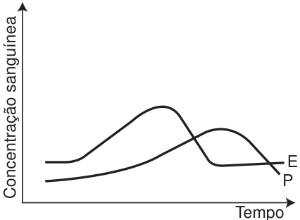 Gráfico de concentração sanguínea em função do tempo: E sobe até um pico e retorna a um valor próximo do inicial; P sobe mais tarde até um pico e depois cai, cruzando a curva de E.