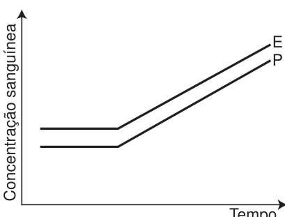 Gráfico de concentração sanguínea em função do tempo: E e P permanecem constantes inicialmente e depois aumentam linearmente em retas paralelas, com E acima de P.