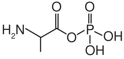 Estrutura química H₂N–CH(CH₃)–C(=O)–O–P(=O)(OH)₂.
