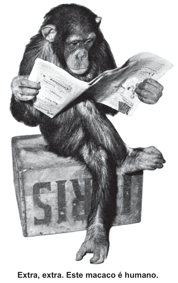 Chimpanzé sentado sobre uma caixa e lendo um jornal. A legenda diz: “Extra, extra. Este macaco é humano.”