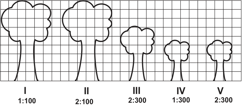 Cinco árvores de alturas desenhadas diferentes em uma mesma malha quadriculada, identificadas, da esquerda para a direita, por I, II, III, IV e V. As escalas indicadas sob elas são, respectivamente, 1:100, 2:100, 2:300, 1:300 e 2:300.