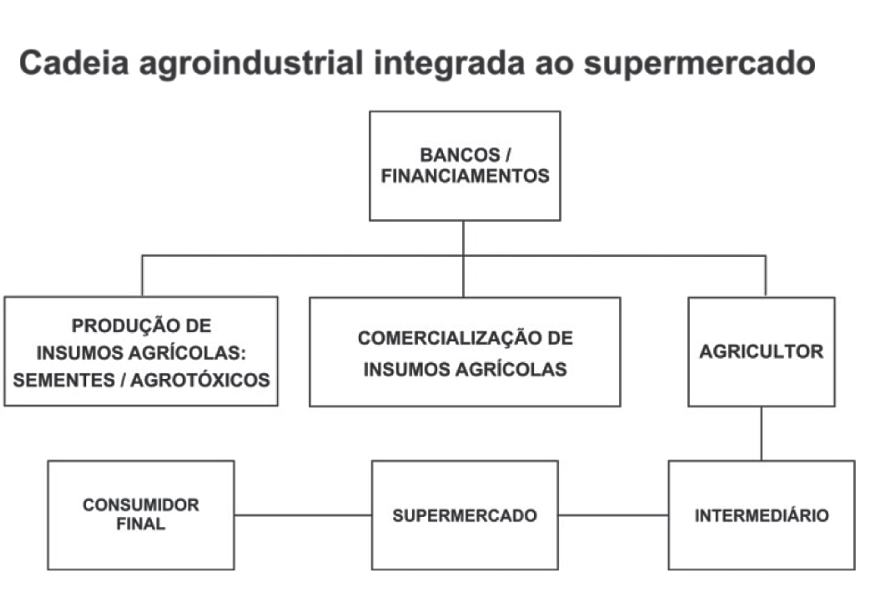 Organograma da cadeia agroindustrial integrada ao supermercado. No topo está o bloco BANCOS / FINANCIAMENTOS, que se ramifica para três blocos abaixo: PRODUÇÃO DE INSUMOS AGRÍCOLAS: SEMENTES / AGROTÓXICOS, COMERCIALIZAÇÃO DE INSUMOS AGRÍCOLAS e AGRICULTOR. O bloco AGRICULTOR conecta-se abaixo a INTERMEDIÁRIO, que por sua vez se conecta em sequência horizontal a SUPERMERCADO e CONSUMIDOR FINAL.