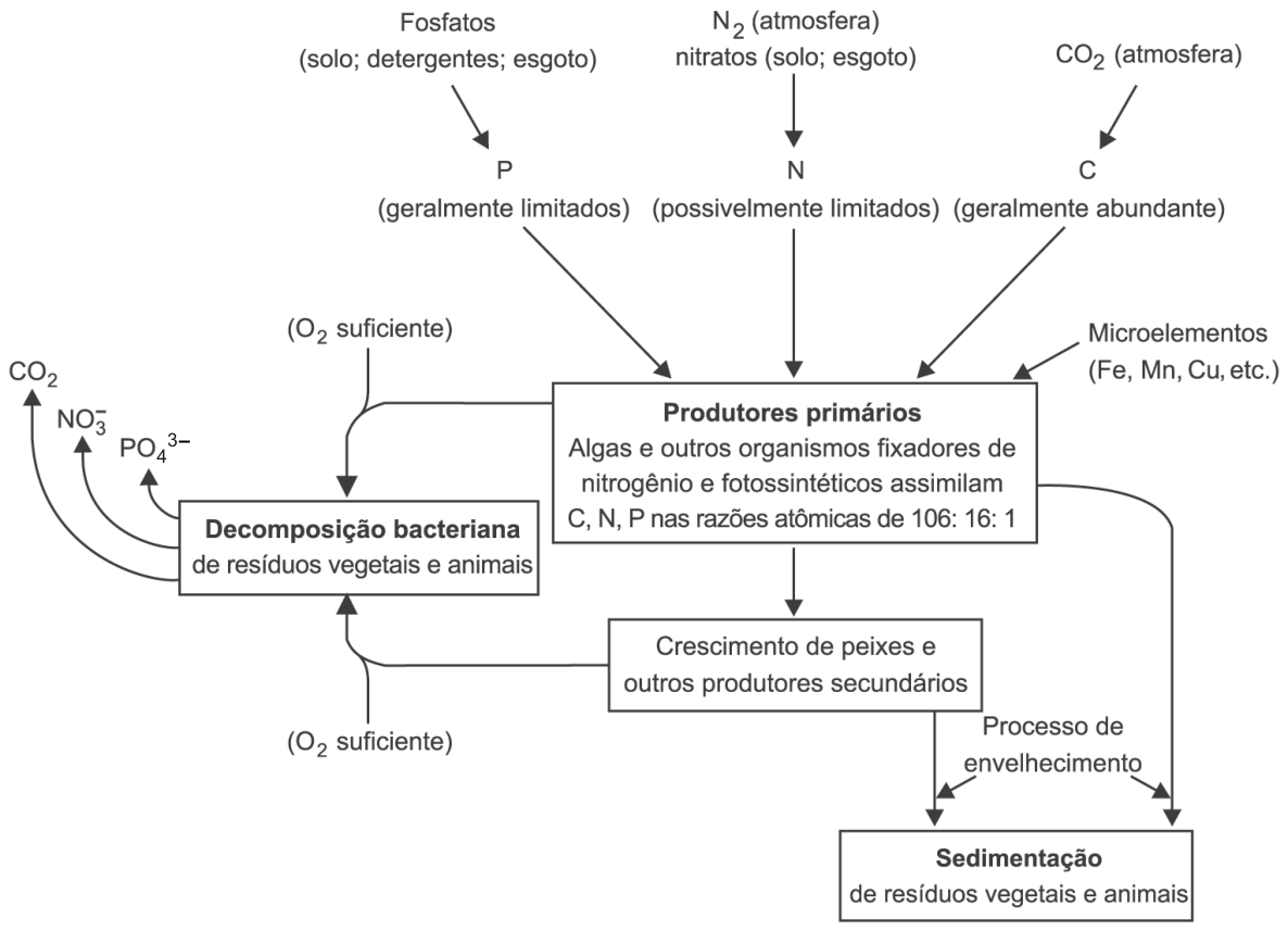 F1 Esquema da dinâmica de nutrientes em um lago, mostrando a entrada e assimilação de carbono, nitrogênio, fósforo e microelementos por produtores primários nas razões atômicas de 106: 16: 1, além dos processos de crescimento de peixes, sedimentação e decomposição bacteriana.