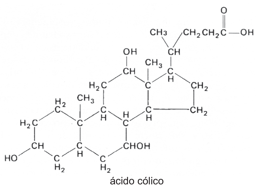 F1 Fórmula estrutural da molécula de ácido cólico com identificação dos grupos químicos funcionais, destacando três hidroxilas no núcleo esteroide e um grupo carboxila na extremidade da cadeia lateral