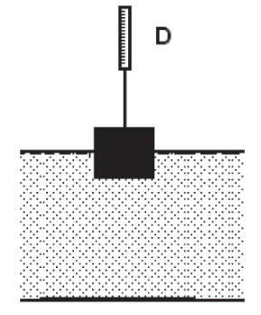 Esquema do experimento mostrando um dinamômetro D que sustenta, por um fio, um cubo parcialmente submerso até a metade de seu volume em um recipiente com água do lago.