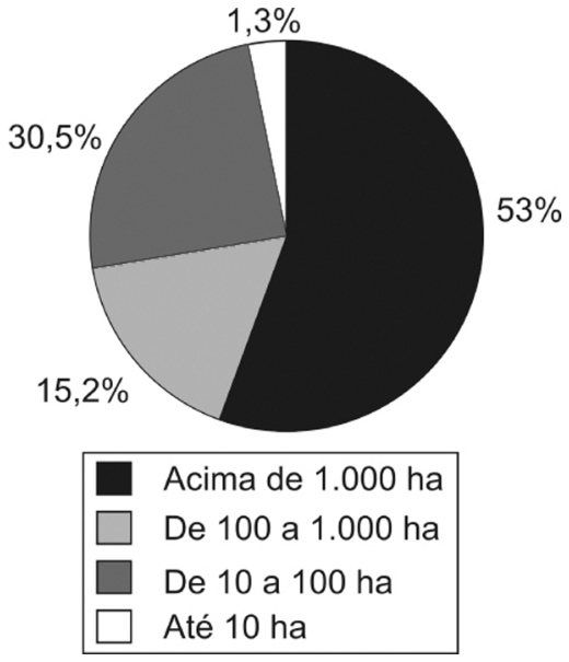 Gráfico de setores representando a distribuição percentual de área por faixa de tamanho de imóveis rurais no Brasil: Acima de 1.000 ha (53%), De 100 a 1.000 ha (15,2%), De 10 a 100 ha (30,5%) e Até 10 ha (1,3%).