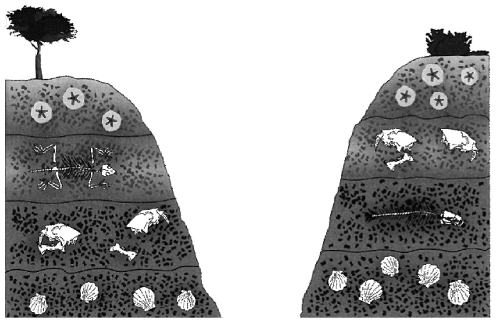 Dois perfis estratigráficos correlacionados separados por um vale, mostrando quatro camadas de rochas com diferentes fósseis: a camada inferior contém conchas de moluscos bivalves; a seguinte, fragmentos de crânios e ossos; a terceira camada apresenta esqueletos mais completos de vertebrados; e a camada superior contém fósseis com formato circular e estrelado no interior.