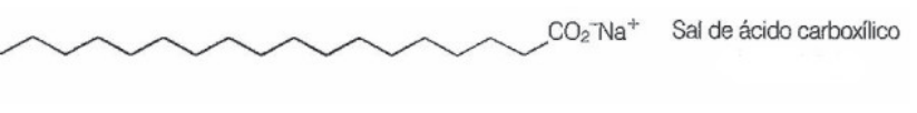 Fórmula estrutural de um sal de ácido carboxílico com longa cadeia carbônica em zigue-zague terminando em CO₂⁻Na⁺.
