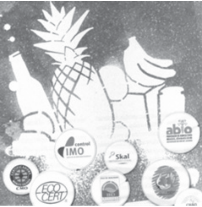 Ilustração de produtos de origem vegetal, entre eles um abacaxi, bananas, garrafas e embalagens, acompanhados de diversos selos de certificação, como IMO, abio e ECOCERT.