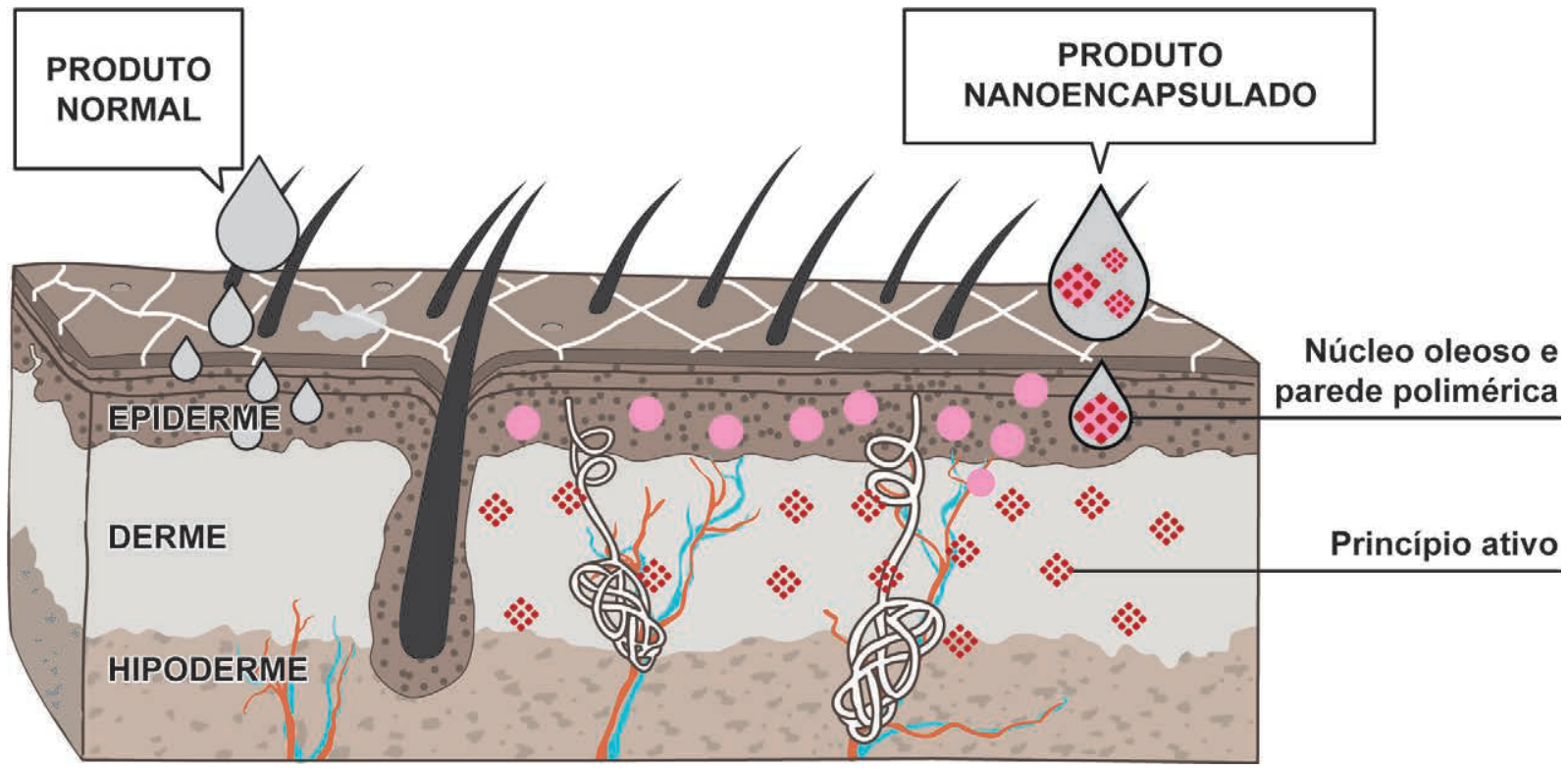 Esquema das camadas da pele (epiderme, derme e hipoderme) comparando a absorção do produto normal, que permanece na epiderme, com o produto nanoencapsulado, cujas nanocápsulas (com núcleo oleoso e parede polimérica) liberam os princípios ativos na derme.