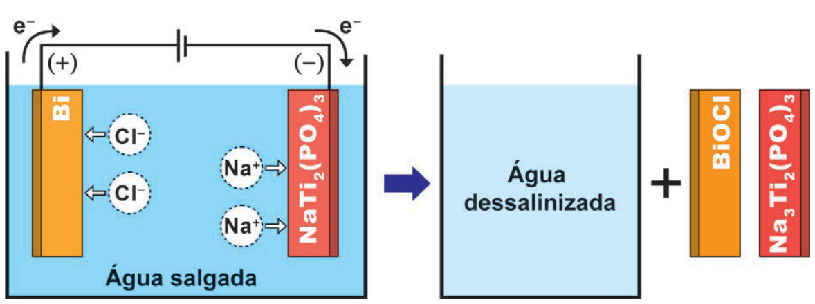 Esquema da dessalinização por eletrólise. À esquerda, em cuba com água salgada, o eletrodo positivo de bismuto (Bi) atrai ânions cloreto (Cl⁻), com saída de elétrons; o eletrodo negativo de NaTi₂(PO₄)₃ atrai cátions sódio (Na⁺), com entrada de elétrons. Uma seta indica a transformação para água dessalinizada mais os eletrodos resultantes: BiOCl e Na₃Ti₂(PO₄)₃.