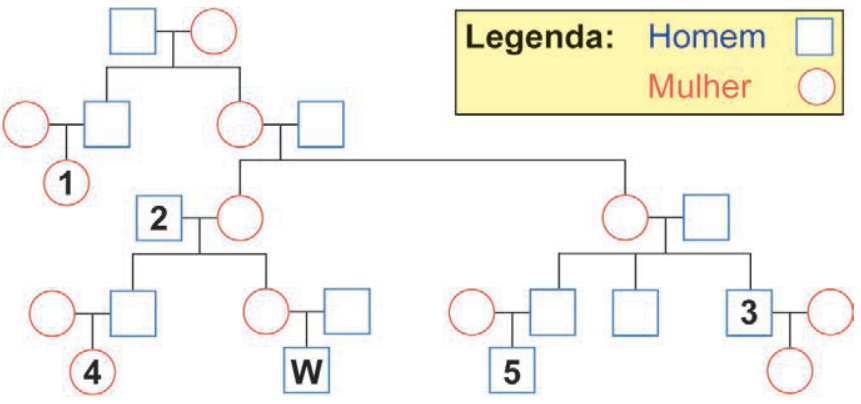 Heredograma representando quatro gerações familiares, com indivíduos numerados de 1 a 5 e o indivíduo W. A legenda indica que homens são representados por quadrados azuis e mulheres por círculos vermelhos.