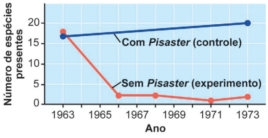 Gráfico de linhas intitulado "Número de espécies presentes" versus "Ano" (de 1963 a 1973). A linha azul superior, com rótulo "Com Pisaster (controle)", mantém-se ligeiramente crescente entre 15 e 20 espécies. A linha vermelha inferior, com rótulo "Sem Pisaster (experimento)", começa próximo de 17 espécies em 1963 e cai abruptamente até cerca de 2 espécies por volta de 1966, mantendo-se baixa até 1973.