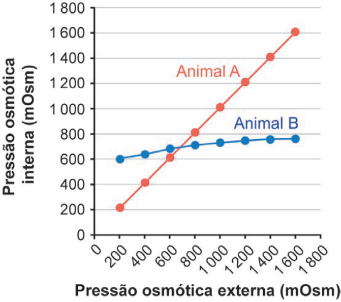 F1 Gráfico de linhas da pressão osmótica interna versus externa, no qual o Animal A apresenta curva linear fortemente ascendente (de 200 a 1 600 mOsm) e o Animal B apresenta curva quase constante, levemente ascendente (em torno de 600 a 800 mOsm).