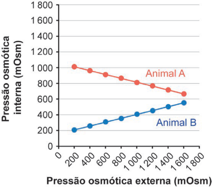 F2 Gráfico de linhas da pressão osmótica interna versus externa, no qual o Animal A apresenta curva linear descendente (de 1 000 a cerca de 700 mOsm) e o Animal B apresenta curva linear suavemente ascendente (de 200 a cerca de 600 mOsm).