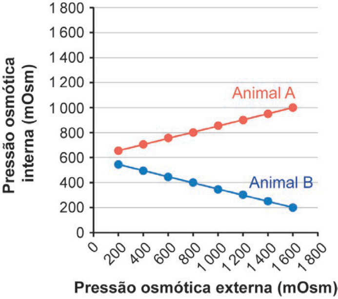 F3 Gráfico de linhas da pressão osmótica interna versus externa, no qual o Animal A apresenta curva linear suavemente ascendente (de cerca de 650 a 1 000 mOsm) e o Animal B apresenta curva linear descendente (de cerca de 550 a 200 mOsm).