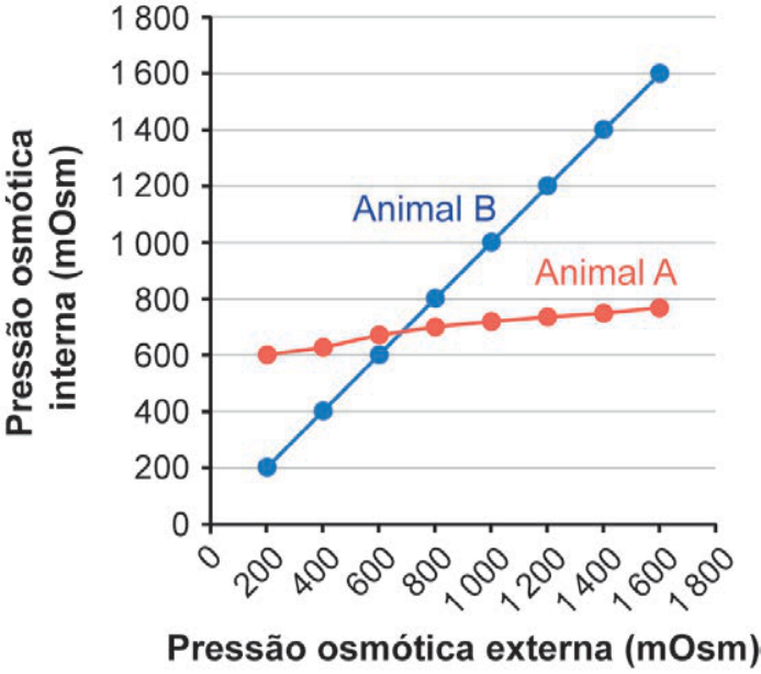 F4 Gráfico de linhas da pressão osmótica interna versus externa, no qual o Animal A apresenta curva quase horizontal levemente ascendente (em torno de 600 a 800 mOsm) e o Animal B apresenta curva linear fortemente ascendente (de 200 a 1 600 mOsm), acompanhando a pressão osmótica externa.