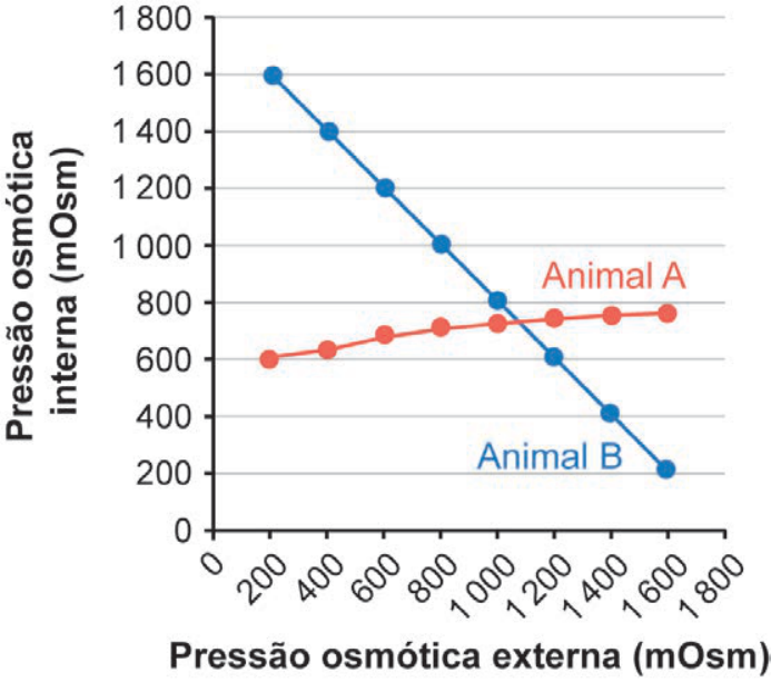 F5 Gráfico de linhas da pressão osmótica interna versus externa, no qual o Animal A apresenta curva quase constante (em torno de 600 a 800 mOsm) e o Animal B apresenta curva linear descendente (de 1 600 para cerca de 200 mOsm).