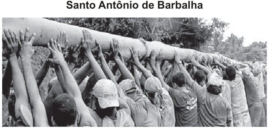 F1 Fotografia em preto e branco mostrando dezenas de homens de costas, erguendo com as mãos e apoiando nos ombros um longo e grosso tronco de árvore (o Pau da Bandeira).