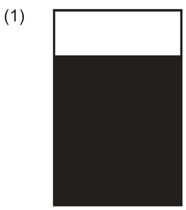 Esquema do experimento (1): frasco retangular contendo um sistema com duas fases, sendo a fase superior em branco e a inferior preenchida em preto, de maior volume.